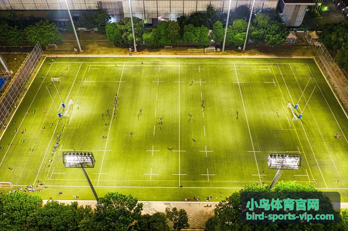 小鸟体育官网首图-飞翔鸟影代表轻量体育服务